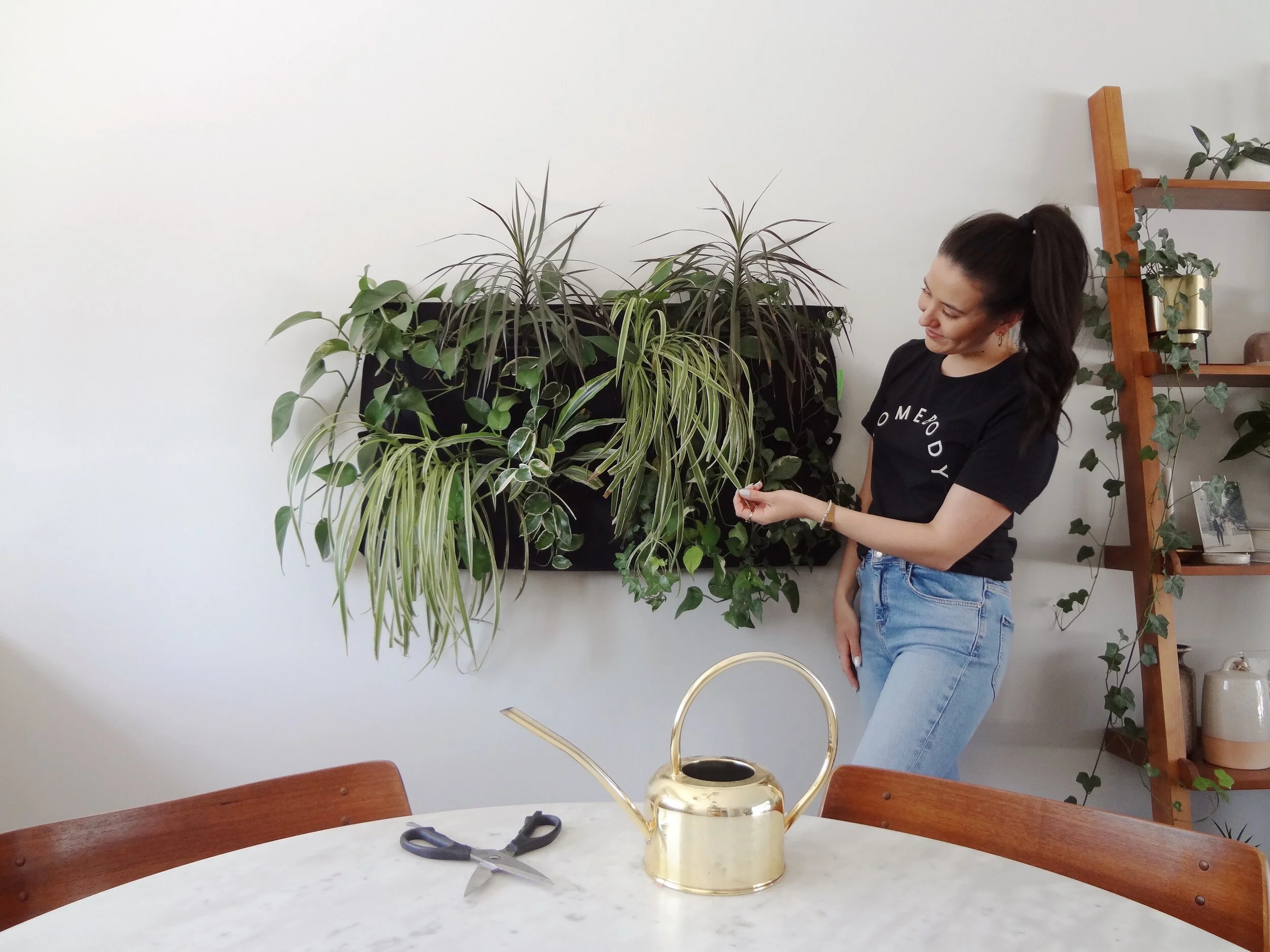 My Favourite Plants for a LivIng Wall — our hideaway home